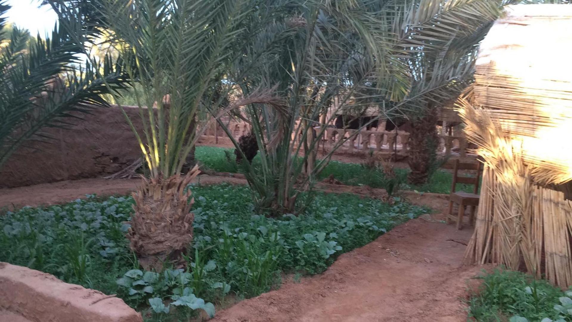 Auberge La Palmeraie M'Hamid Exterior foto